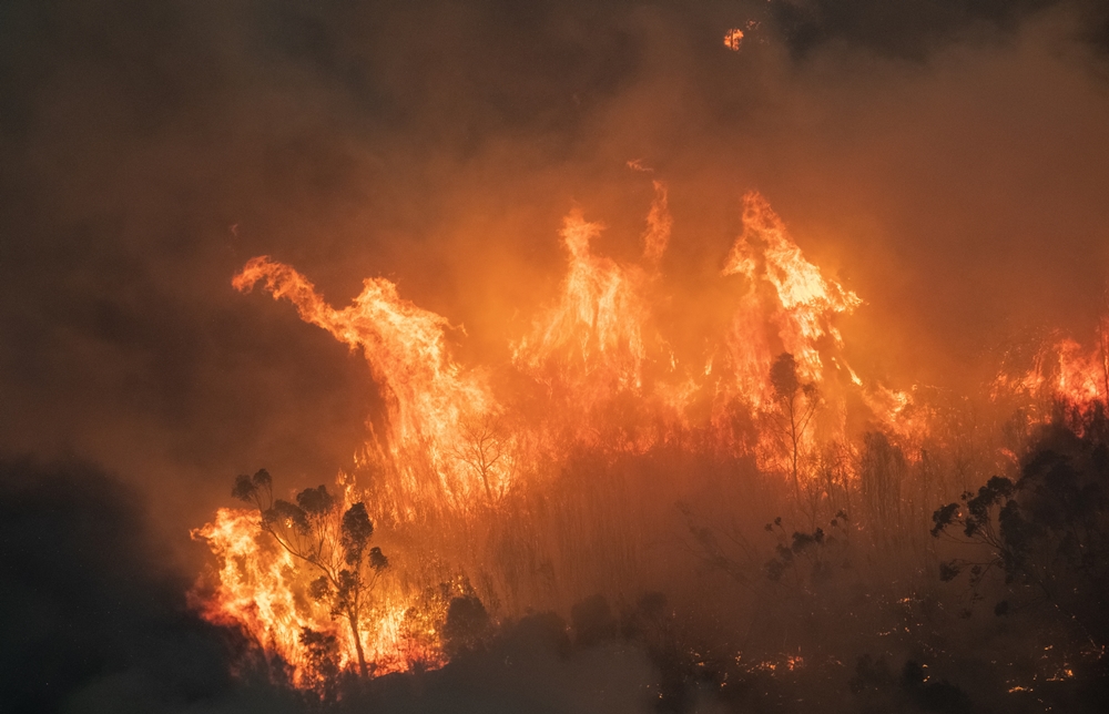 Cháy rừng đang hoành hành ở Australia.