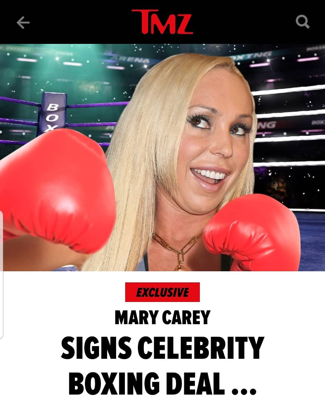 Mary Carey lấn sân sang làng võ boxing.