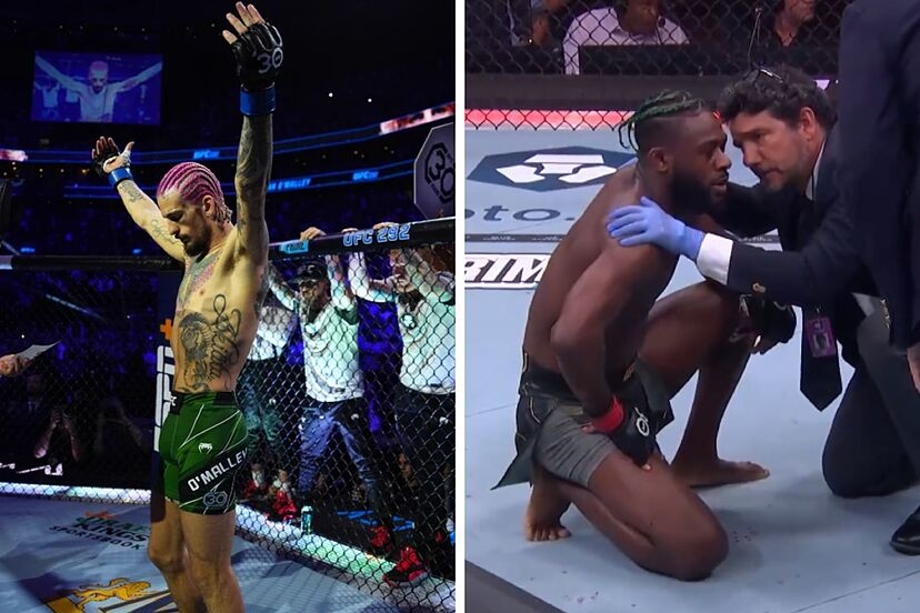 Aljamain Sterling đã mất danh hiệu hạng gà vào tay Sean O'Malley.